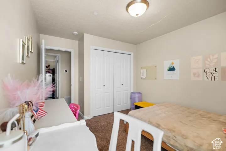 Neutral toned walls featuring a flush mount ceiling light and textured carpeting