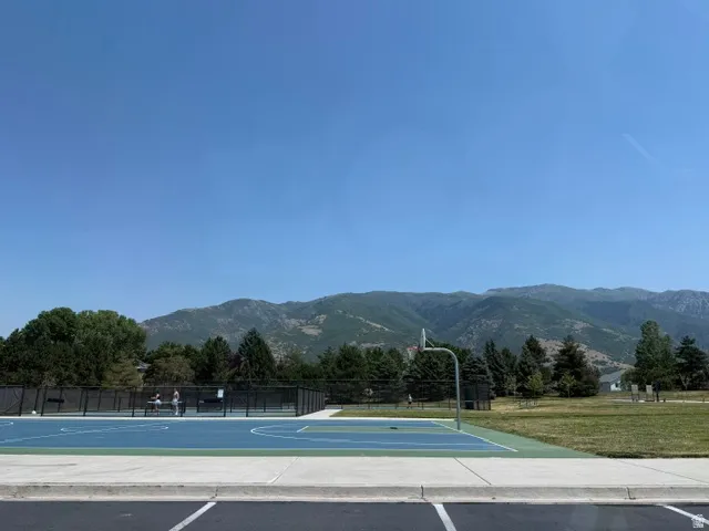 Outdoor recreational court with a blue and green surface, surrounded by black chain-link fencing
