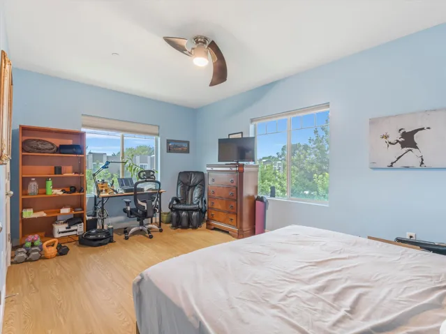 Bright room featuring two large windows, wood-finish flooring, and a ceiling fan with integrated lighting