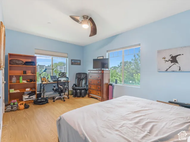 Bright room featuring two large windows, wood-finish flooring, and a ceiling fan with integrated lighting