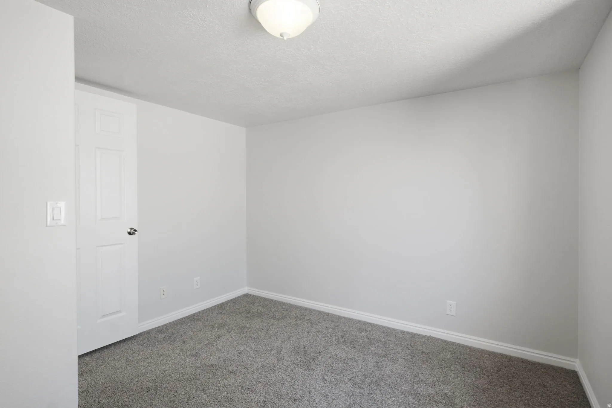Carpeted room with a flush-mount ceiling light fixture, white trim, and a paneled door