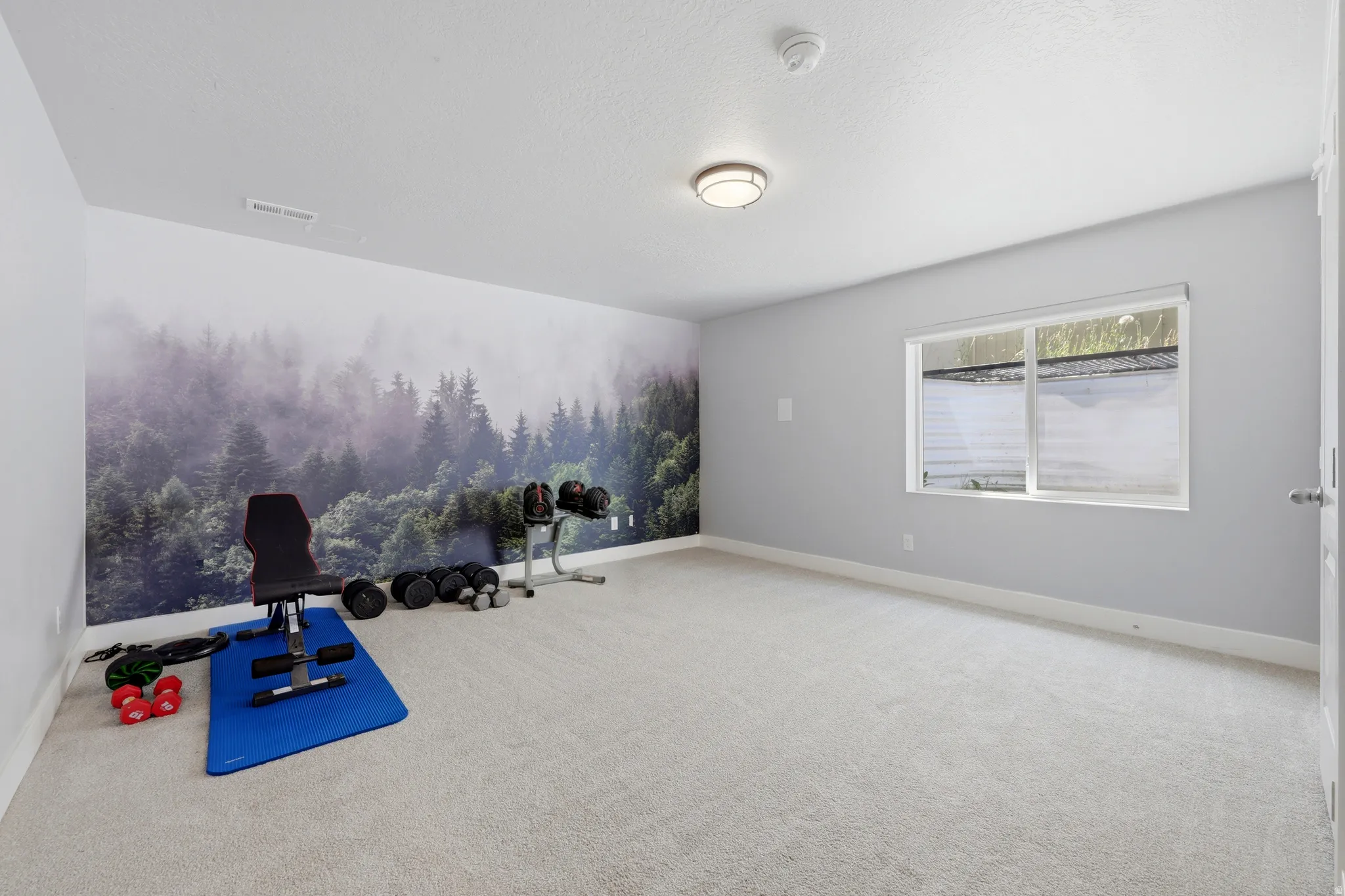 Spacious room with light-colored carpeting, a large wall mural depicting a forest scene, a white window frame, and a flush-mount ceiling light fixture