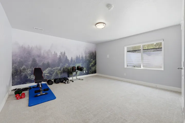 Spacious room with light-colored carpeting, a large wall mural depicting a forest scene, a white window frame, and a flush-mount ceiling light fixture