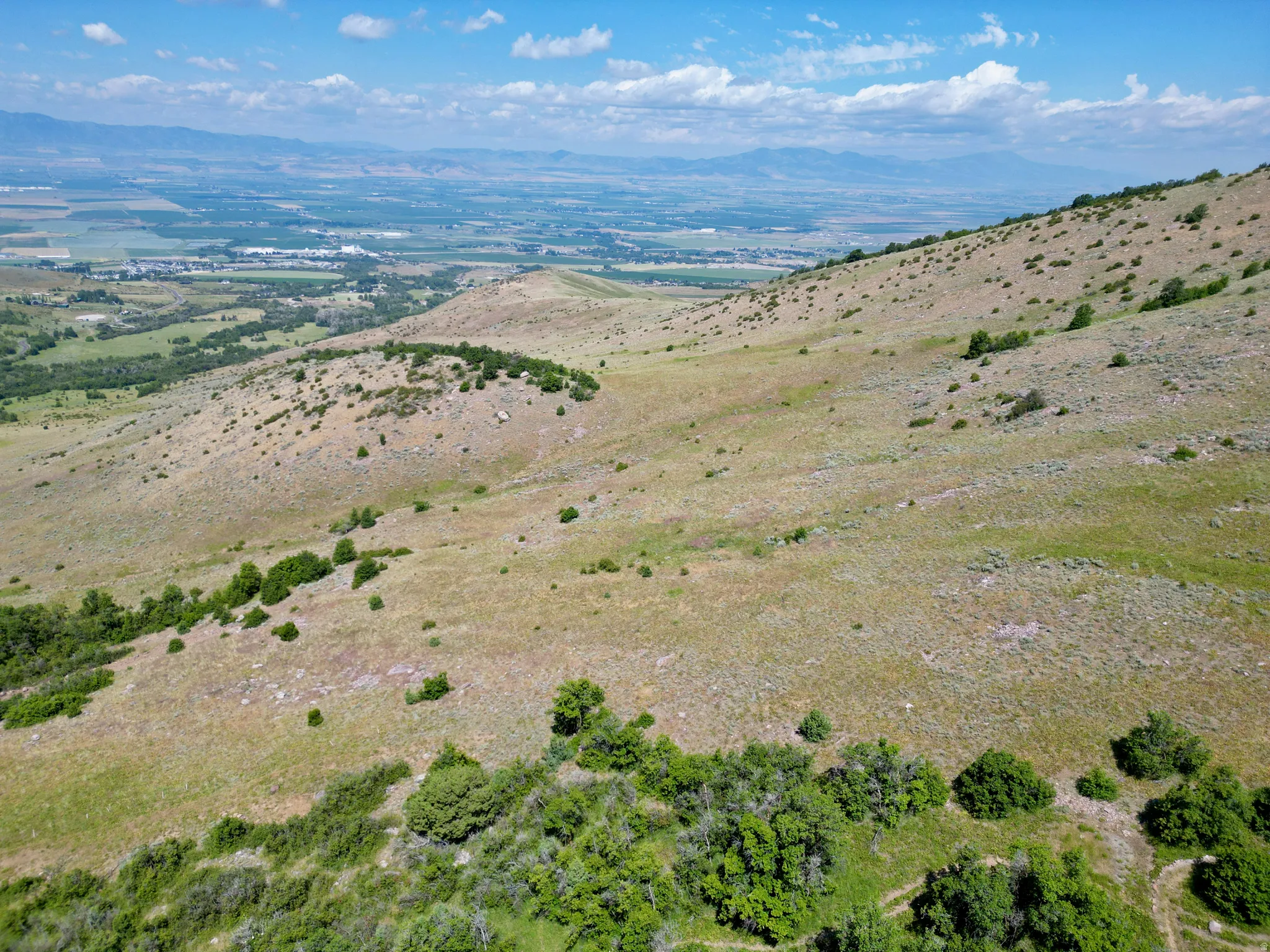 Expansive hillside parcel featuring natural vegetation and distant valley topography