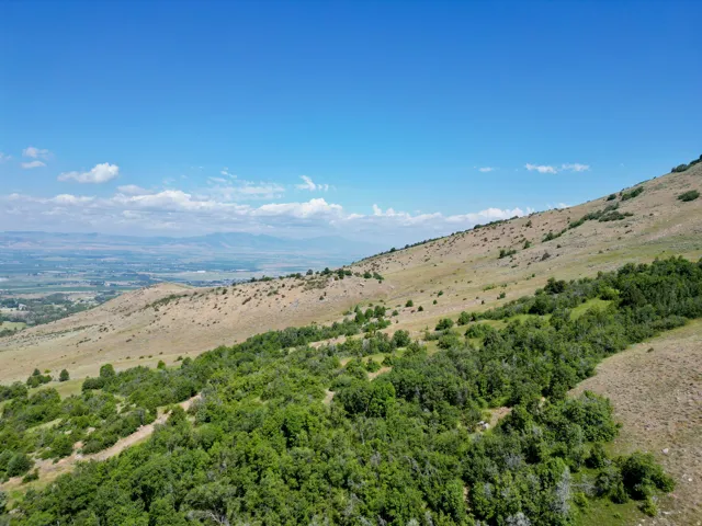 Expansive natural landscape featuring rolling hills and abundant green foliage