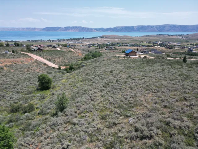 Expansive natural terrain with scattered green foliage and a dirt road