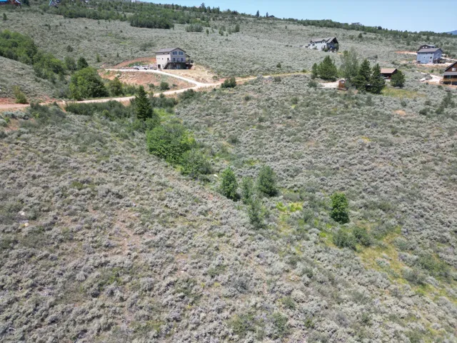 Expansive hillside property featuring diverse scrubland vegetation and scattered trees