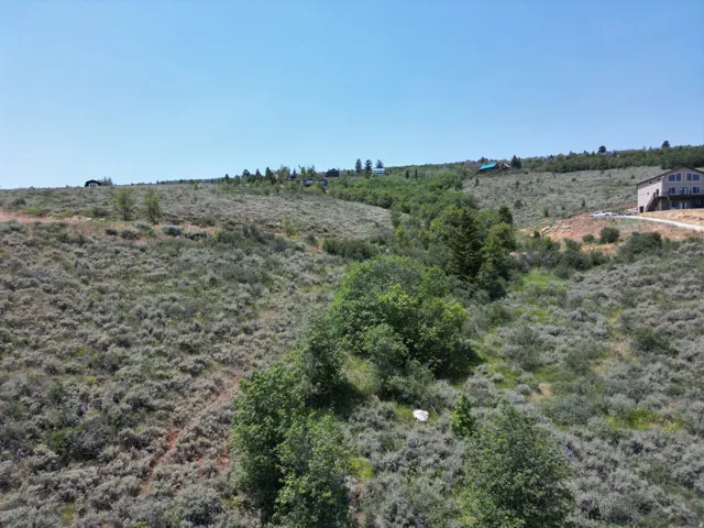 Expansive sloped terrain with natural shrubland and scattered trees