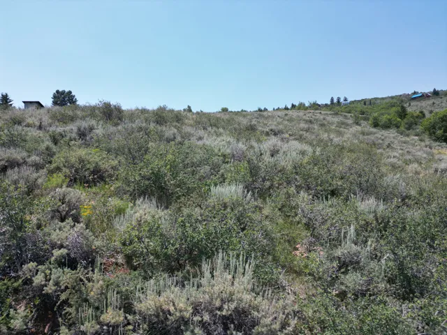 Expansive sloped terrain featuring natural foliage and distant structures on the horizon