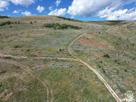 Expansive undeveloped acreage featuring varied topography and natural vegetation