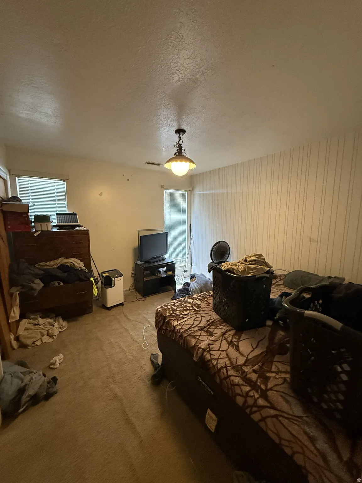 Image quality insufficient for description