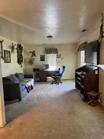 Carpeted interior space featuring a single ceiling light fixture, a window with horizontal blinds, and a built-in wooden desk with storage