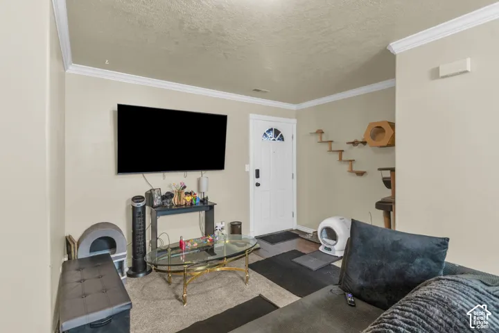 Living space with light-toned walls, ceiling-mounted light fixture, and crown molding