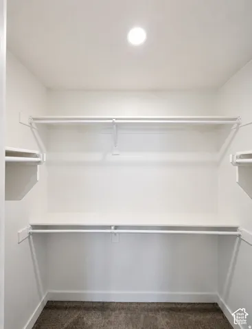 Closet featuring a recessed ceiling light, white shelving, and carpet flooring
