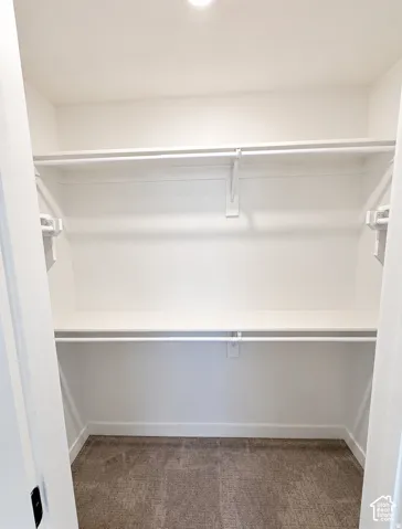 Spacious walk-in closet featuring dual clothing rods, multiple shelving units, and neutral carpet flooring