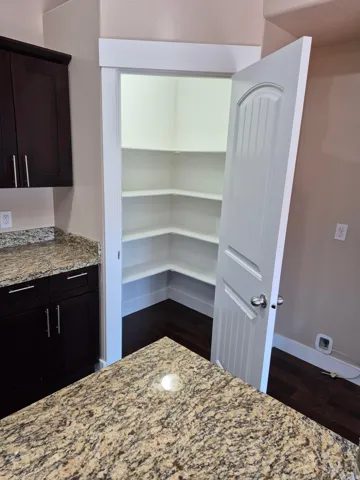 Walk-in pantry with multiple corner shelves and a paneled door