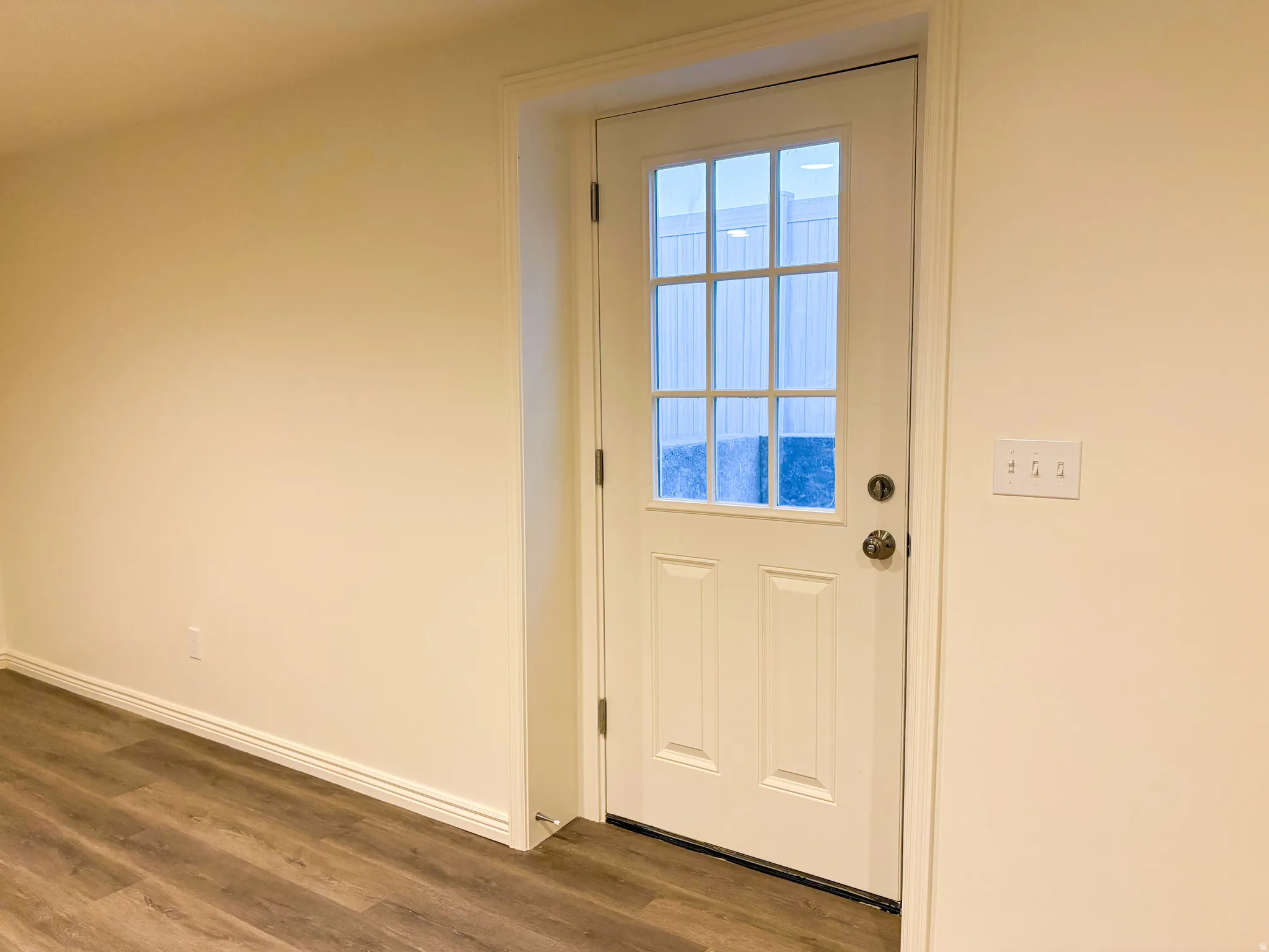White paneled door with multiple window panes, light-colored walls, and wood-finish flooring
