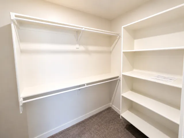 Walk-in closet with built-in shelving, dual hanging rods, and a neutral carpeted floor