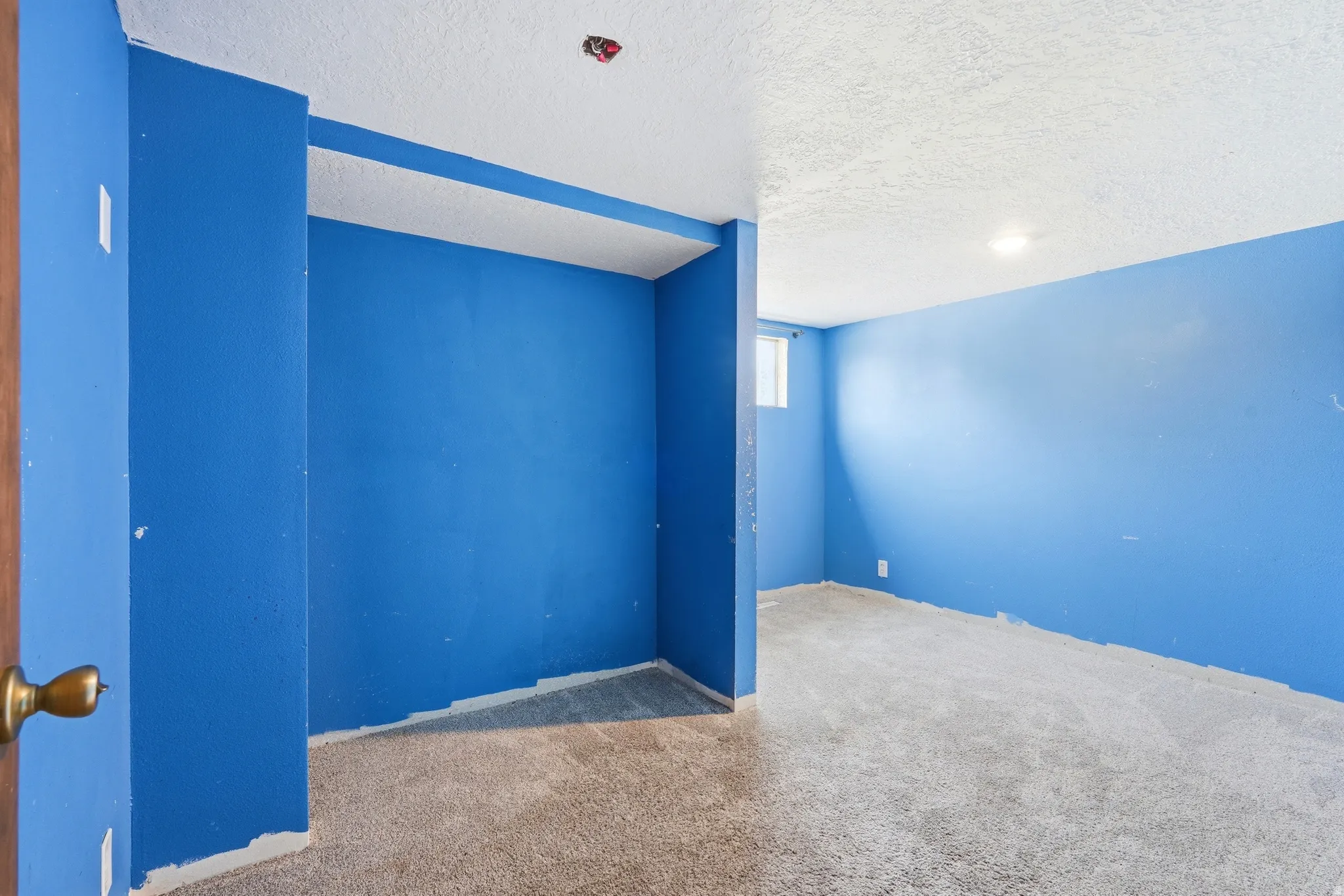 Carpeted room featuring blue painted walls, a textured white ceiling, and a single window