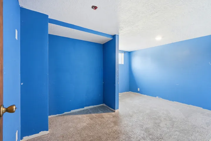 Carpeted room featuring blue painted walls, a textured white ceiling, and a single window