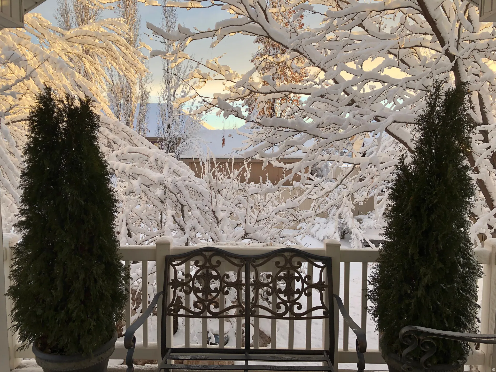 Winter views