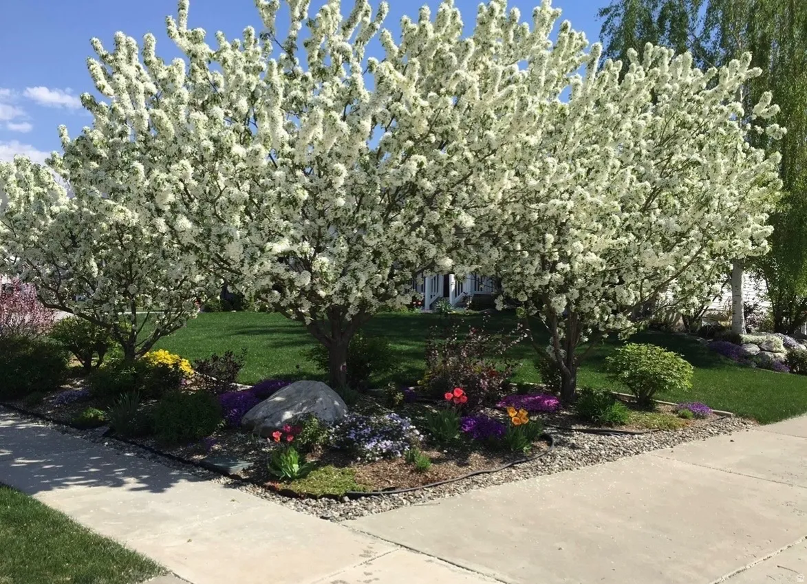 Spring!