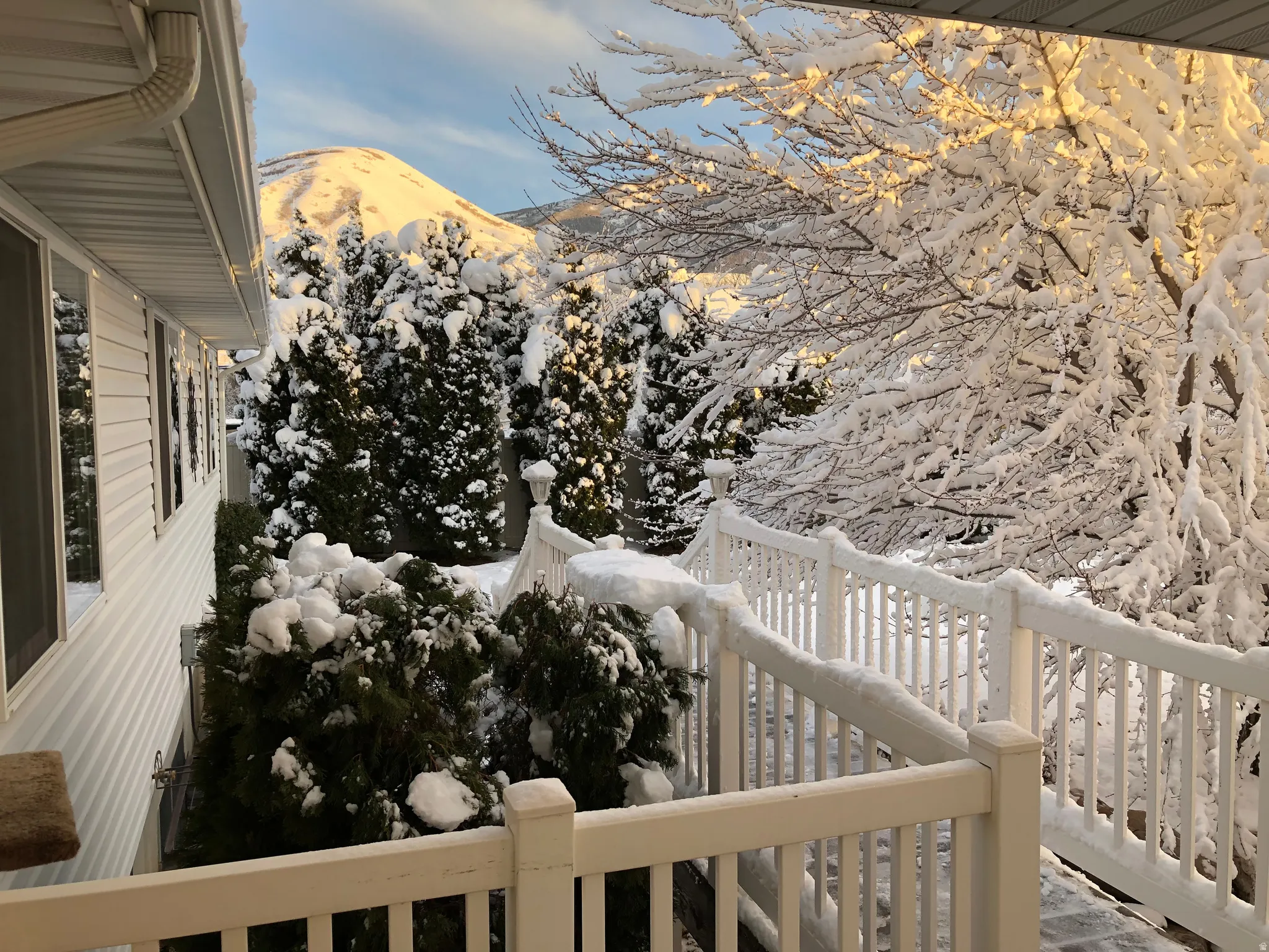 WInter