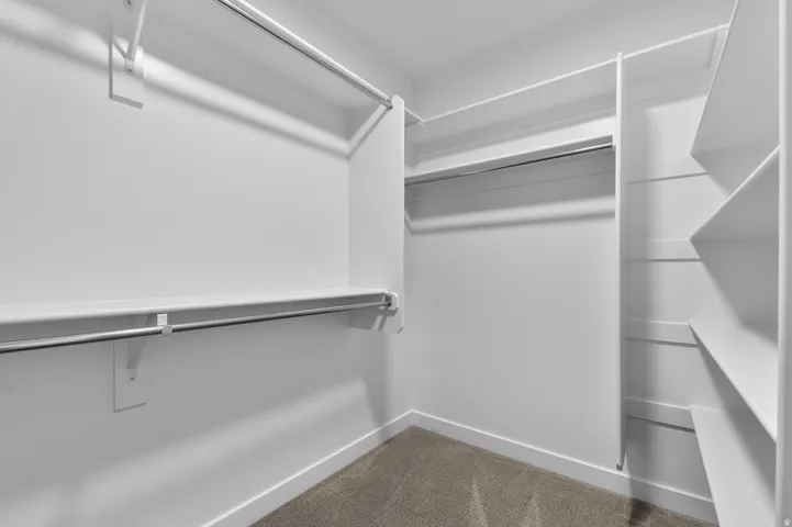 Spacious walk-in closet featuring white built-in shelving, multiple hanging rods, and neutral-toned carpeting