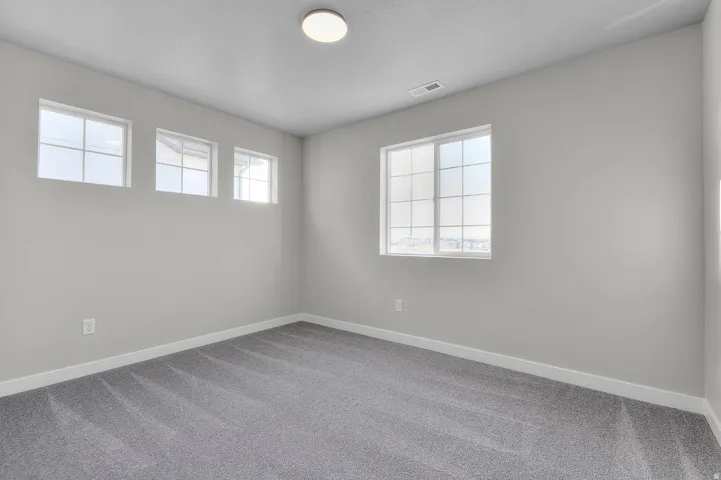 Spacious room featuring light gray walls, plush gray carpet, multiple windows providing ample ambient illumination, and a flush-mount ceiling light fixture