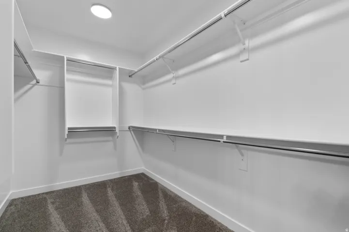 Walk-in closet featuring built-in shelving, hanging rods, recessed ceiling lighting, and carpet flooring