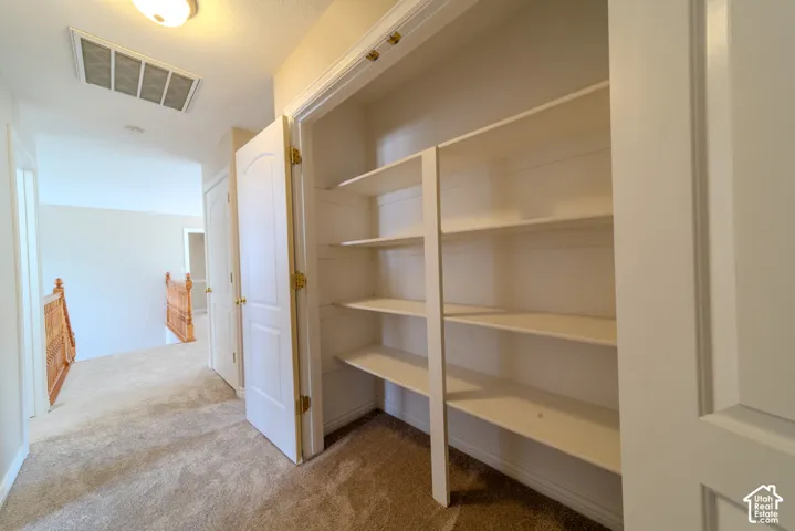 Hallway closet with built-in shelving, providing ample storage