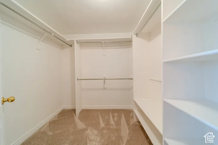 Walk-in closet with beige carpet flooring, built-in shelving, and multiple clothing rods