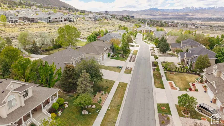 Paved street with mature trees and landscaped residential properties
