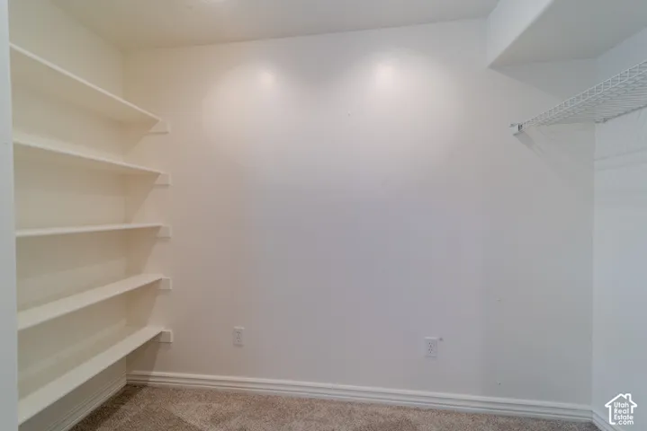 Interior space with built-in shelving, white walls, and plush carpet flooring