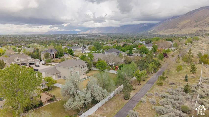 Expansive residential landscape featuring multiple properties, mature trees, and mountainous terrain