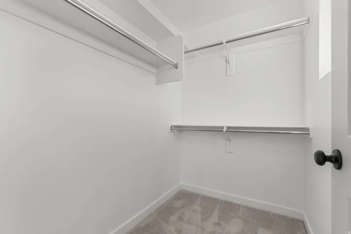 Walk-in closet with clean white walls, light gray carpet, and multiple shelving and hanging rods