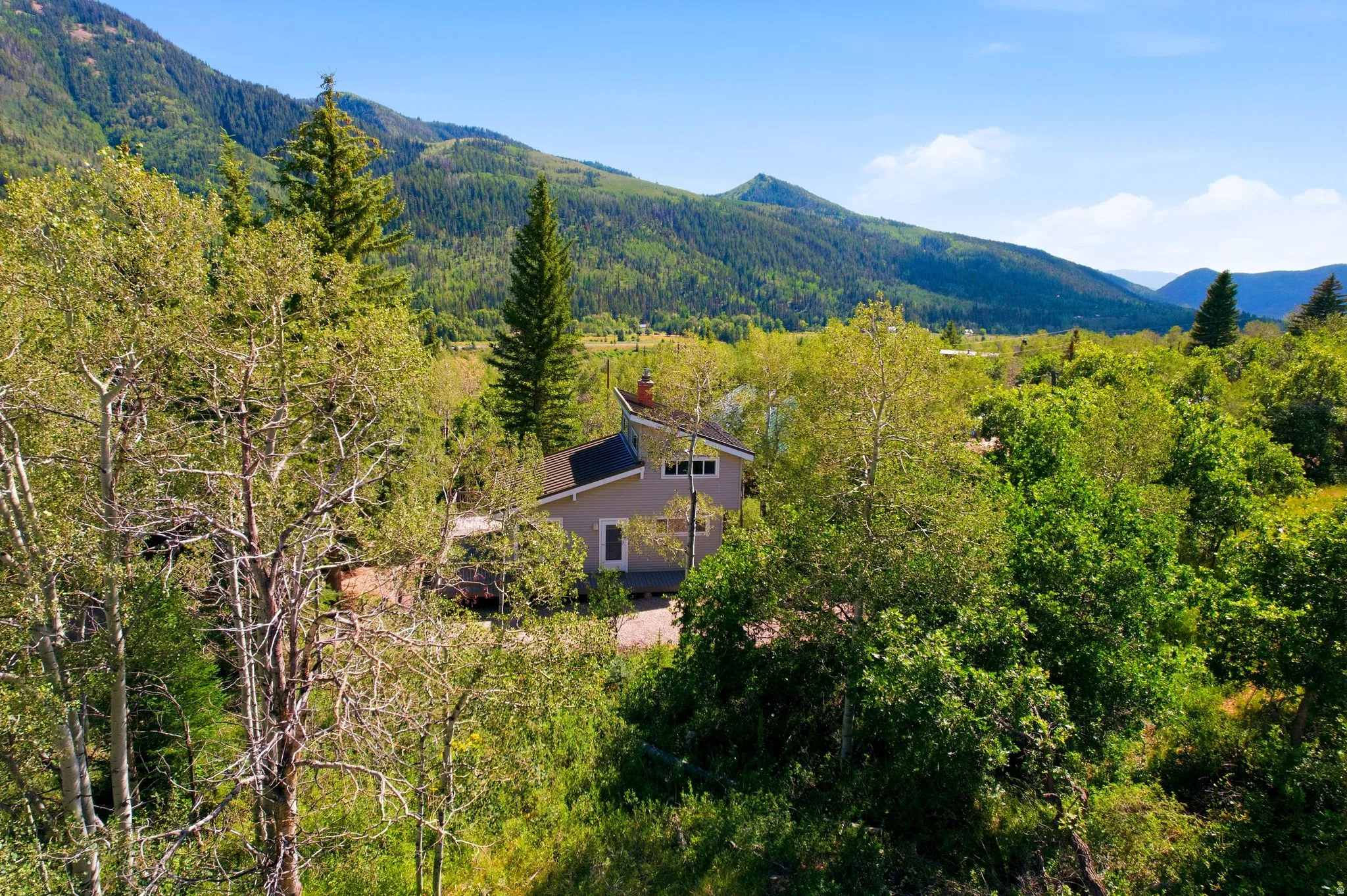 Property surrounded by mature trees with a mountain backdrop