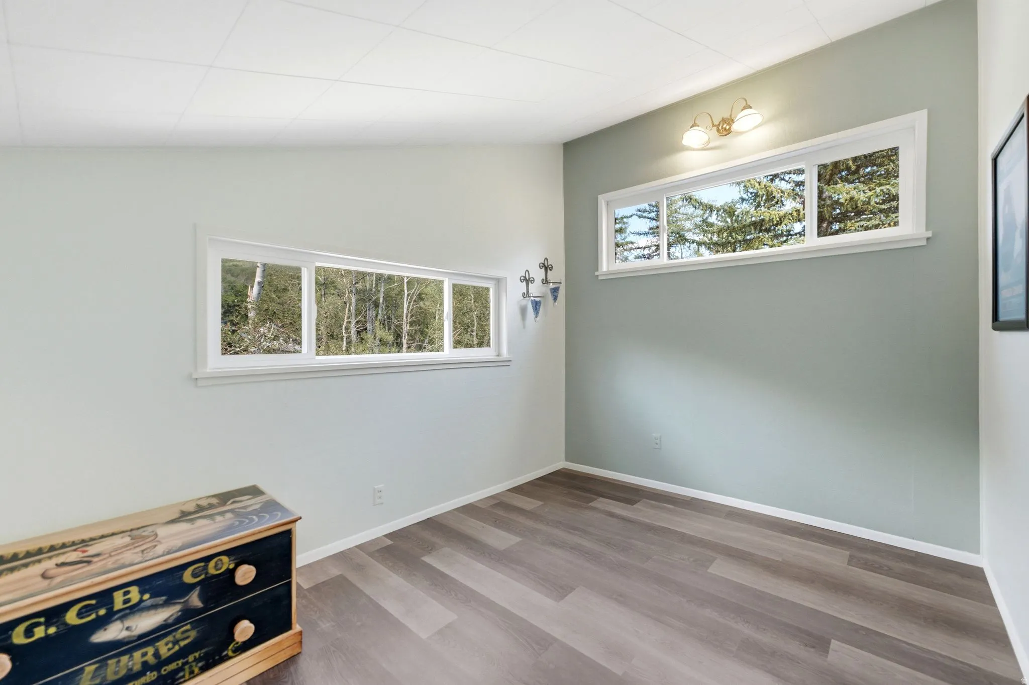 Room featuring light-toned walls, wood-finish flooring, two horizontal windows, and ceiling-mounted lighting