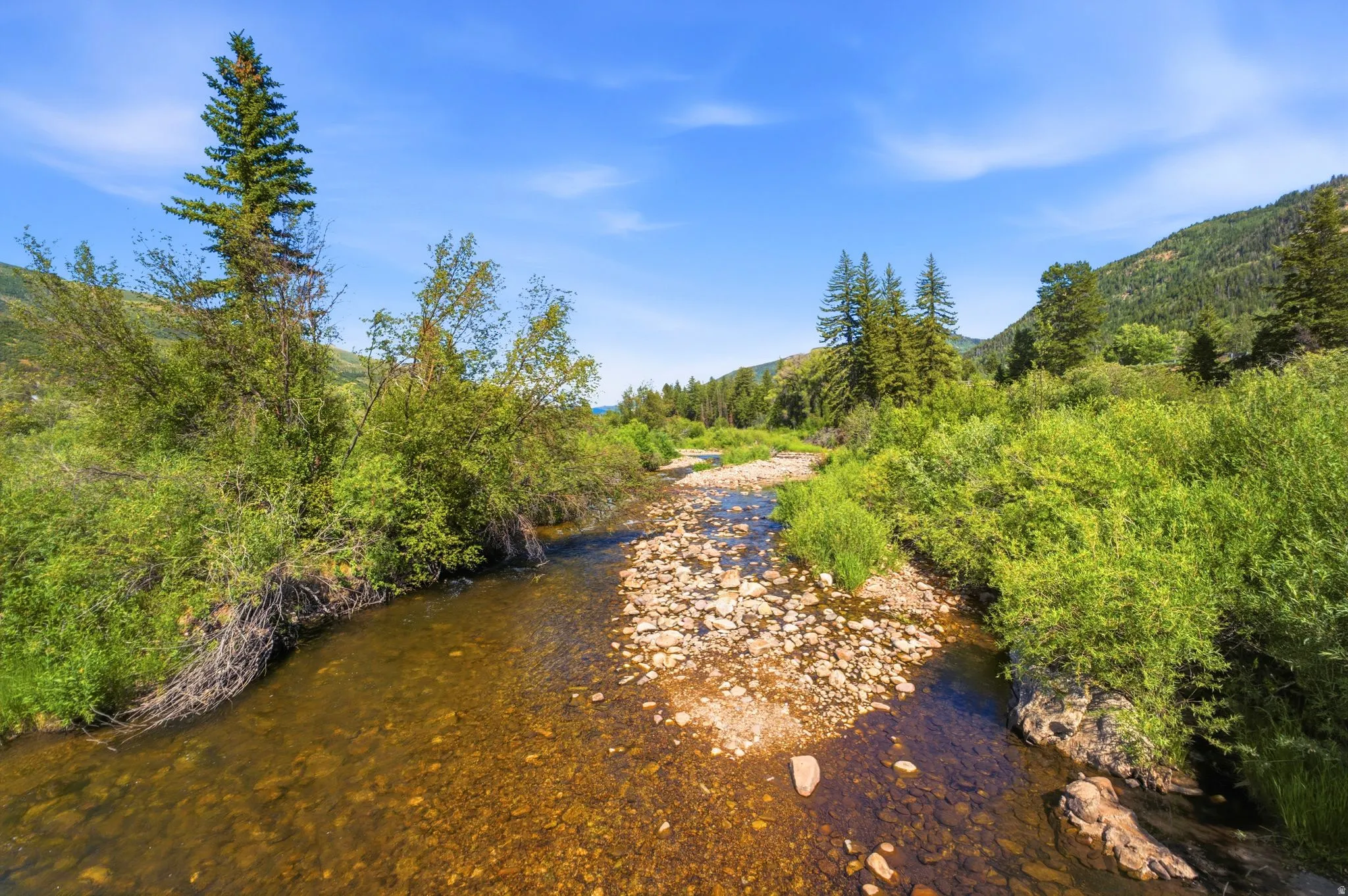 Natural riverbed featuring clear water, exposed rocks, and surrounding dense green foliage