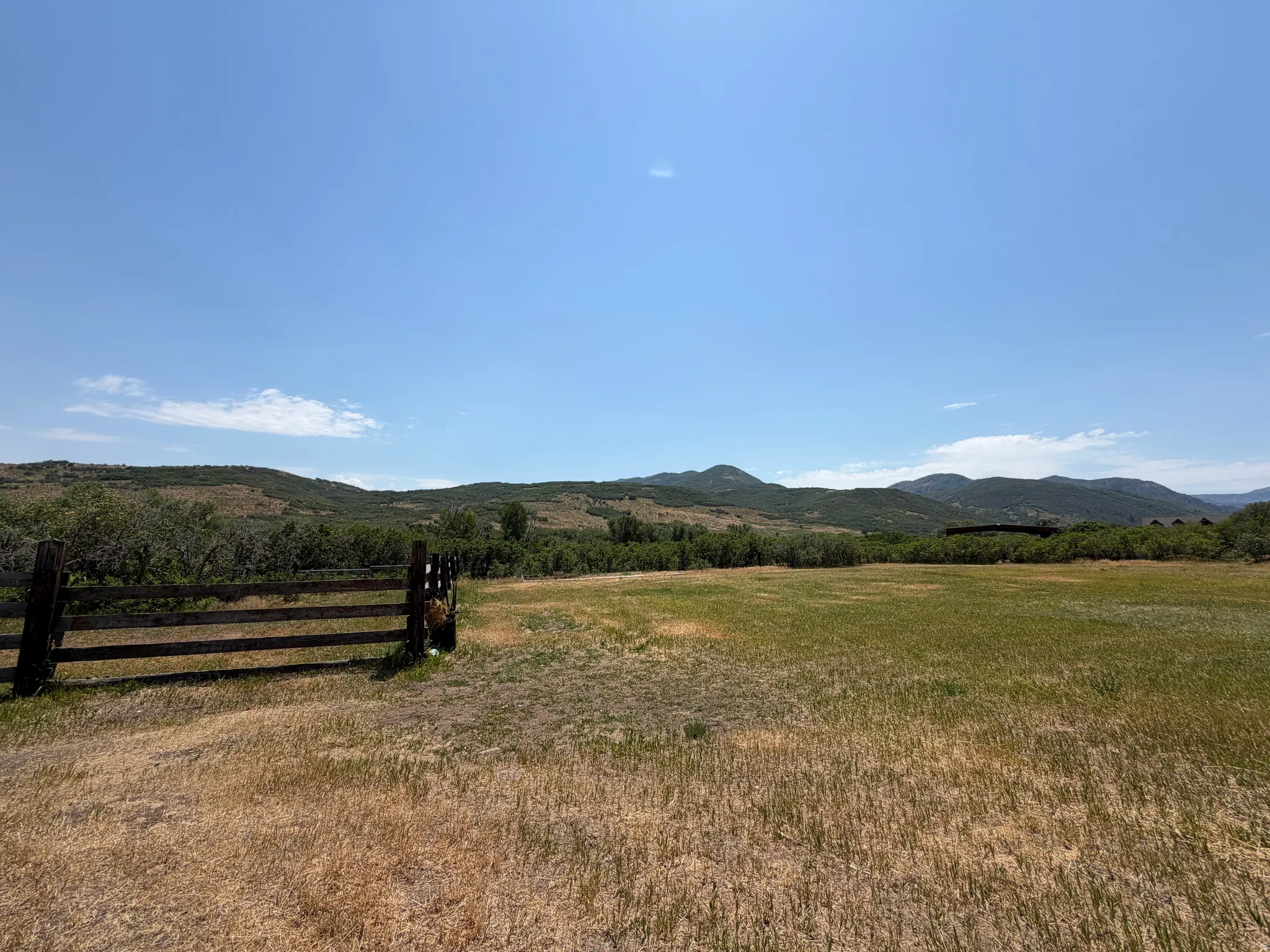 Expansive open field featuring natural grasses and distant rolling hills