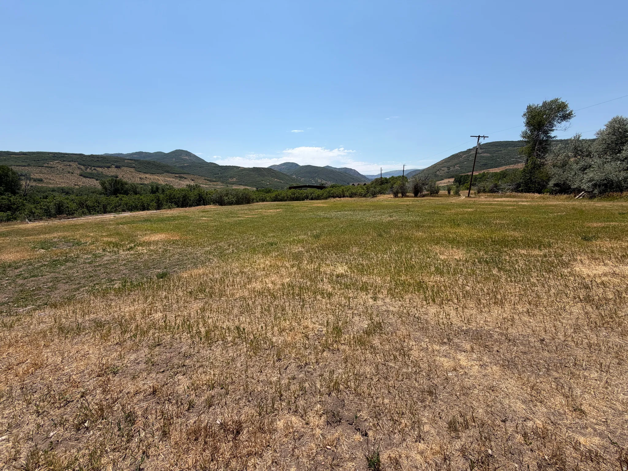 Expansive open field featuring varied natural ground cover and distant tree lines