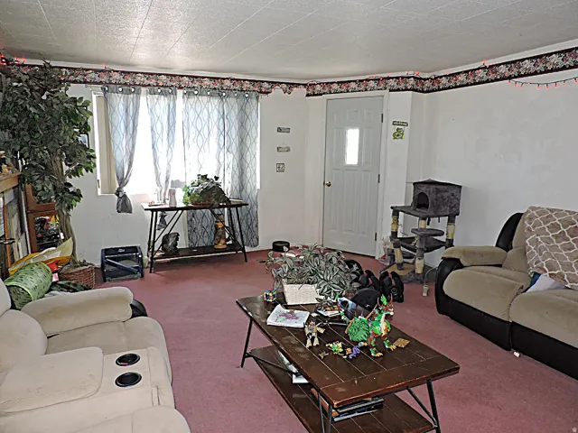 Carpeted interior space featuring white walls