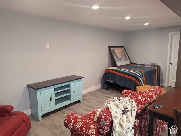 Basement Family Room