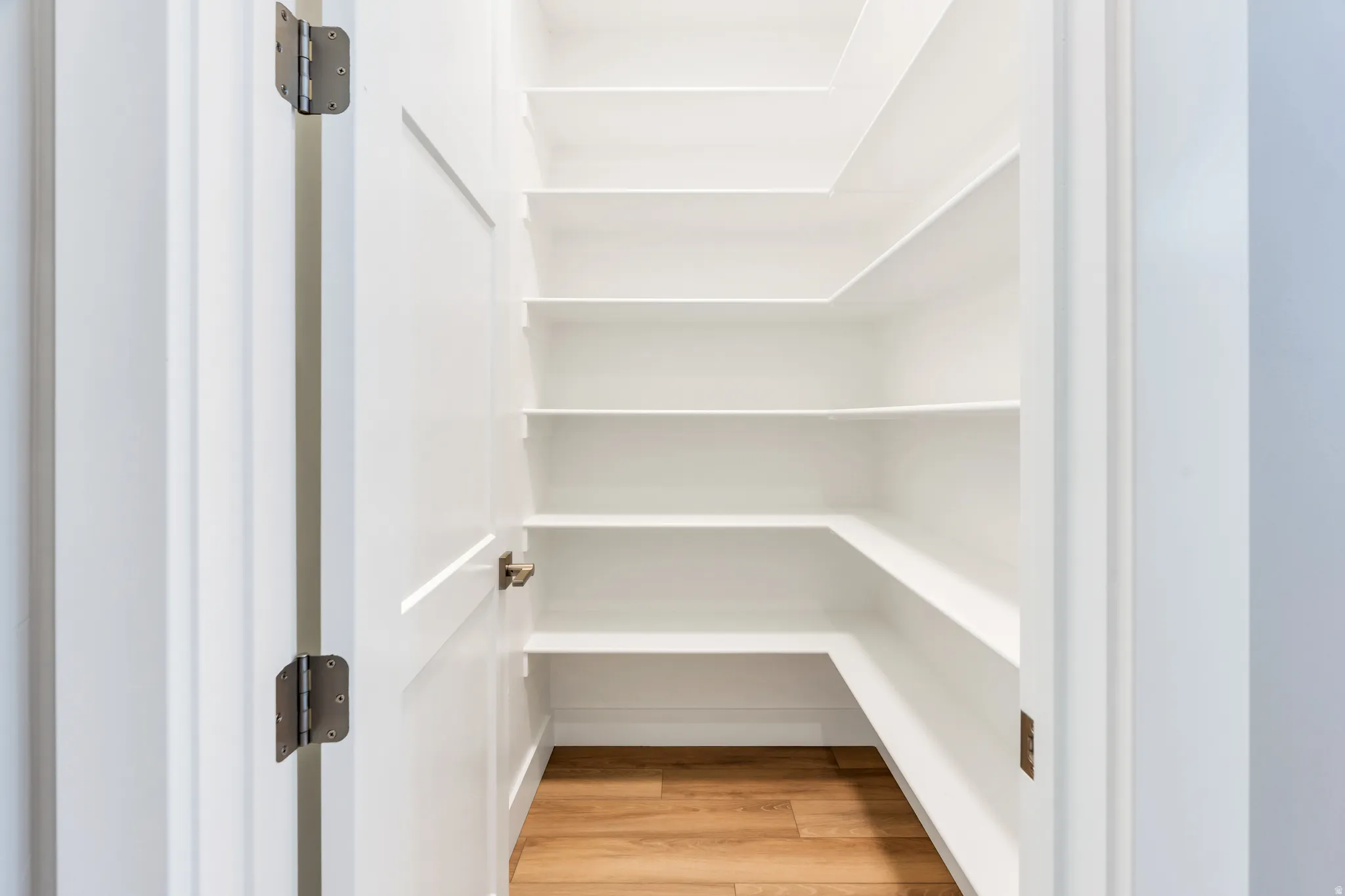 Walk-in pantry featuring white shelving, wood-finish flooring, and a white panel door with bronze hardware
