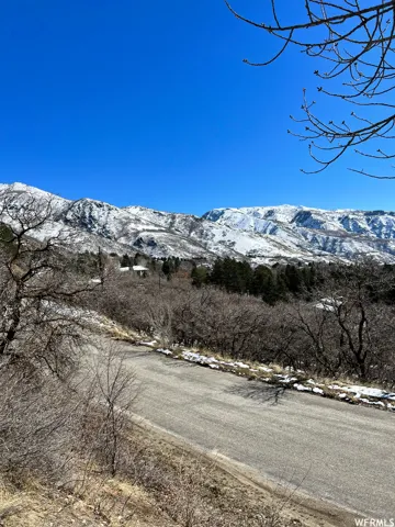 Paved road with natural landscaping and distant snow-capped mountains
