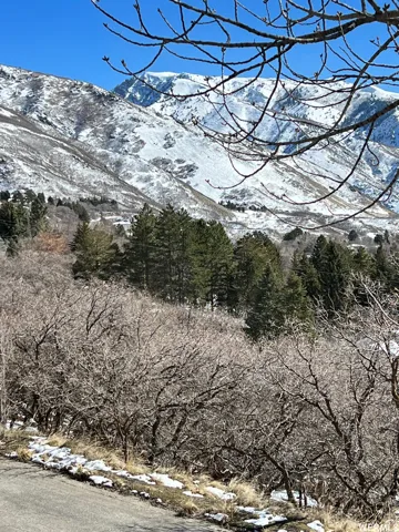 Expansive mountain terrain featuring snow-covered peaks, dense evergreen forests, and a foreground of deciduous trees