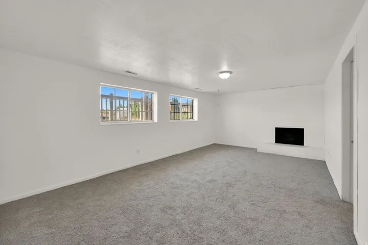 Basement Family Room