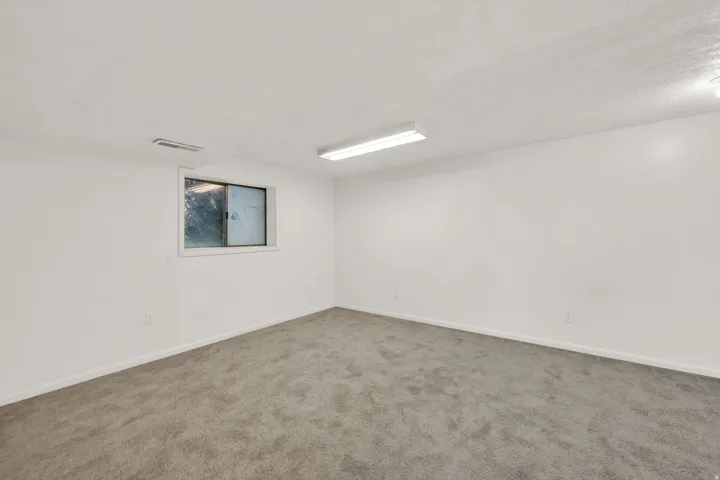 Basement Bedroom