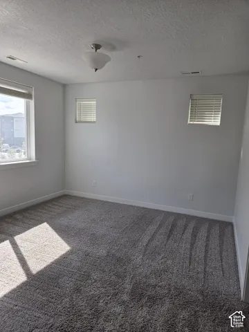 Bright interior space featuring plush gray carpeting, white painted walls, and multiple windows