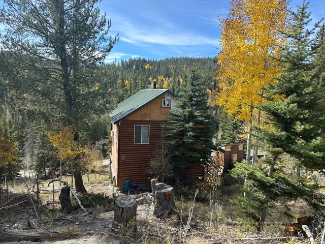 Rustic log cabin exterior featuring a green metal roof